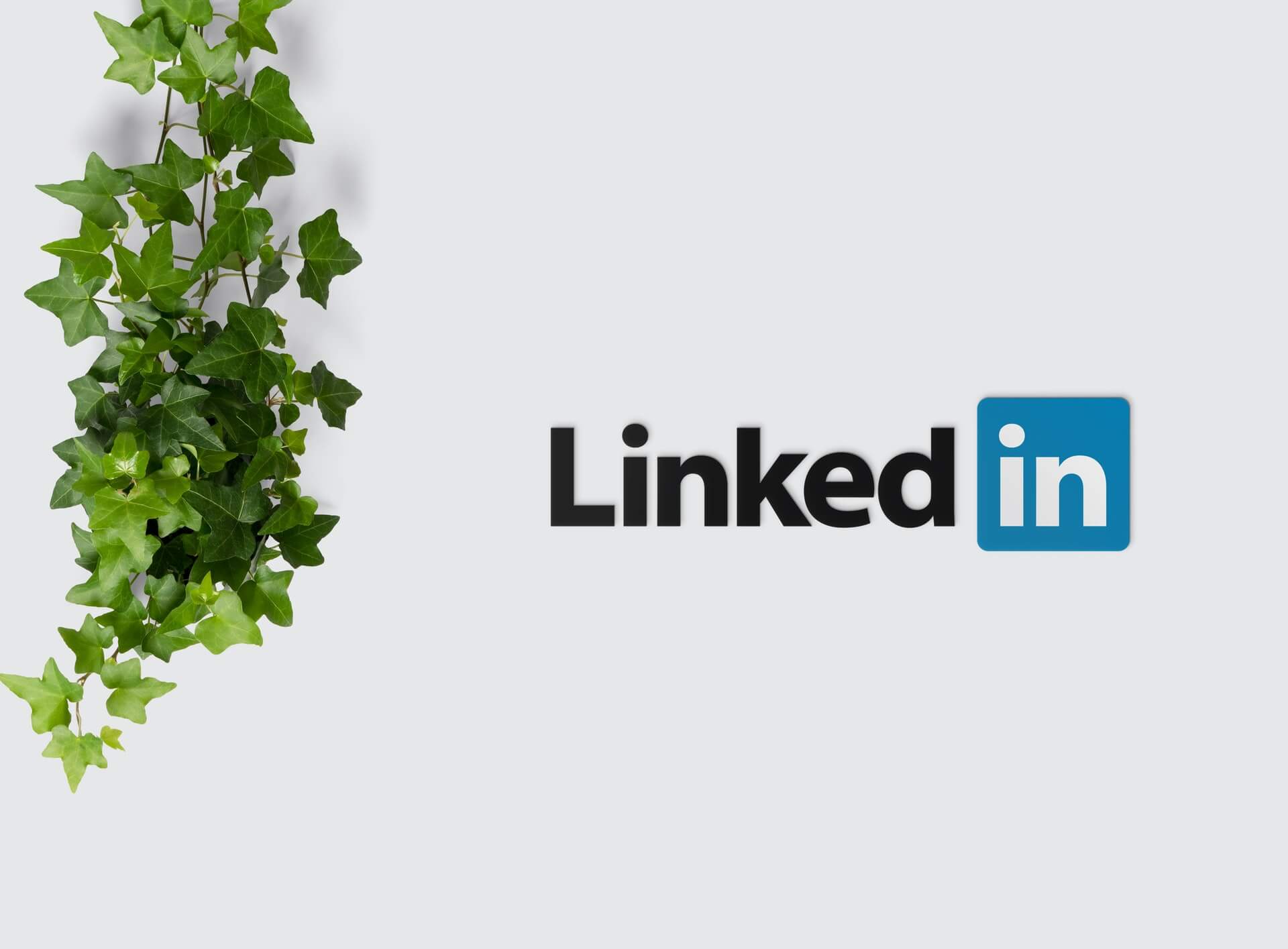 LinkedIn zavádza 3 nové funkcie pre firemné profily