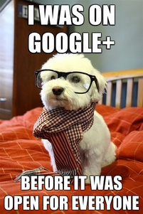 Google-plus-cute-dog-meme