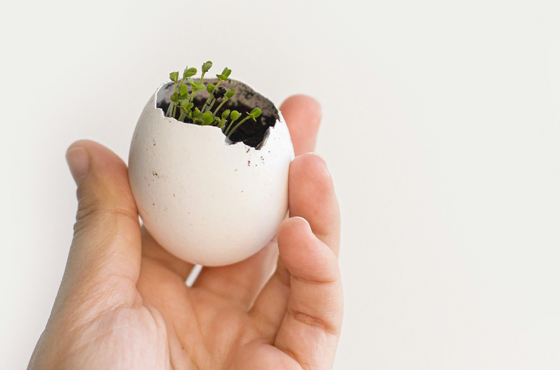 Vyrástli ste zo svojej značky? 4 signály, že je čas na rebranding