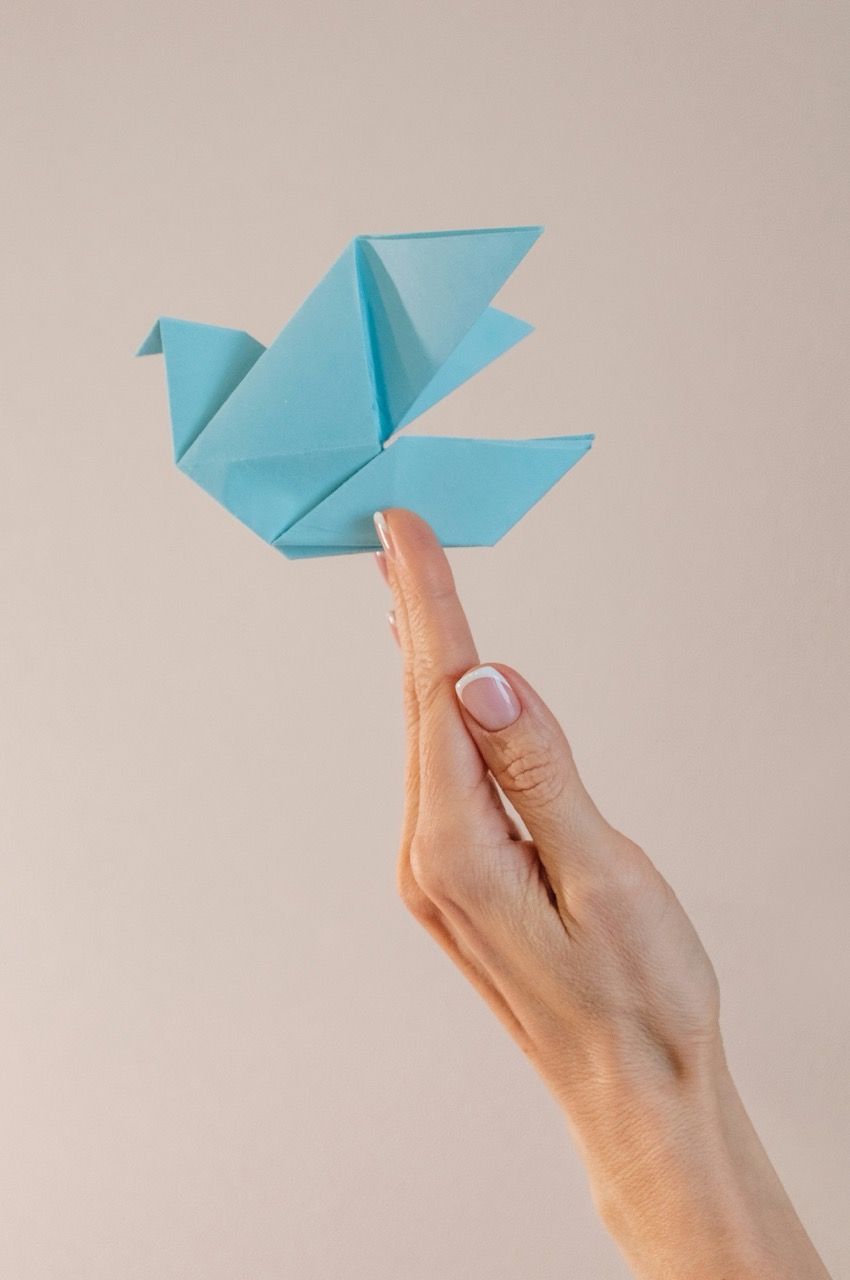 Čo je UGC a ako funguje UGC marketing?